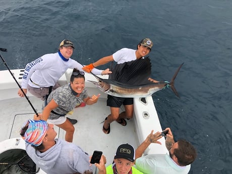 Sailfish fishing in Destin, Florida