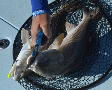 Redfish fishing in Galveston, Texas