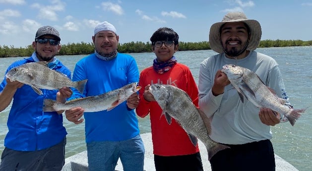 Black Drum, Speckled Trout / Spotted Seatrout fishing in Port Aransas, Texas