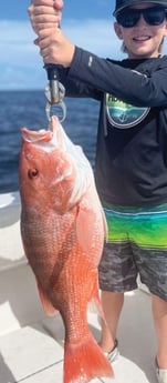 Red Snapper Fishing in Clearwater, Florida