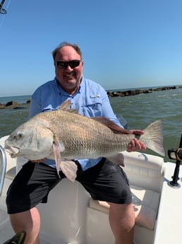 Black Drum fishing in Galveston, Texas