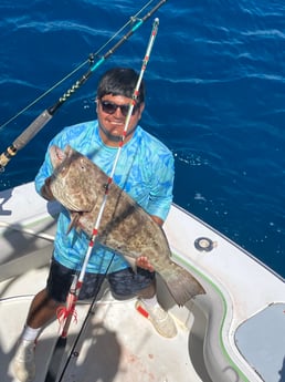 Black Grouper fishing in Fort Lauderdale, Florida