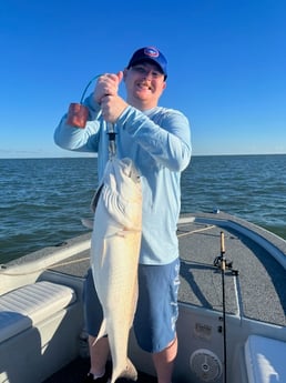 Redfish Fishing in Galveston, Texas