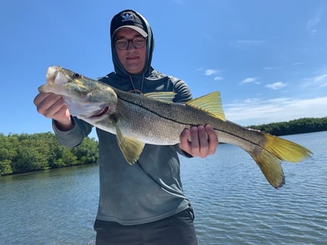 Snook fishing in Clearwater, Florida