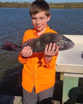 Black Drum fishing in Freeport, Texas