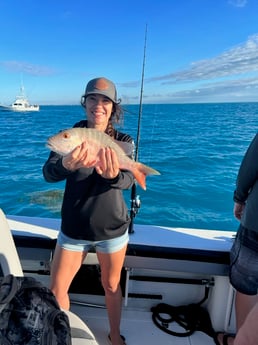 Mutton Snapper Fishing in Key Largo, Florida