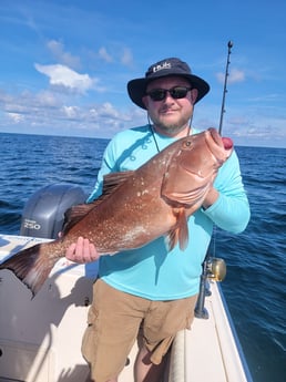 Red Grouper fishing in Clearwater, Florida