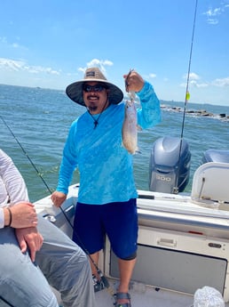 Speckled Trout / Spotted Seatrout fishing in Galveston, Texas