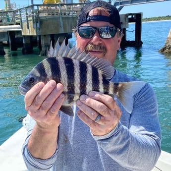 Sheepshead fishing in Beaufort, North Carolina