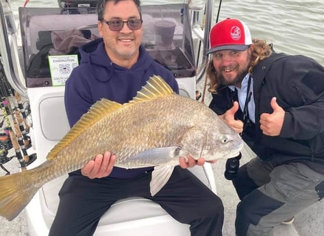 Black Drum fishing in Port Aransas, Texas