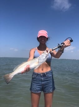 Speckled Trout Fishing in Rockport, Texas