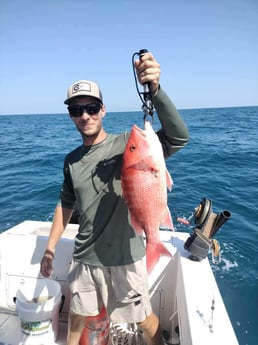 Red Snapper Fishing in Jacksonville, Florida