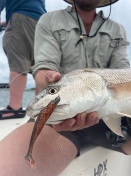 Redfish fishing in Wrightsville Beach, North Carolina