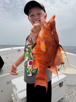 Fishing in Sarasota, Florida