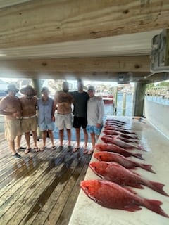 Fishing in Orange Beach, Alabama