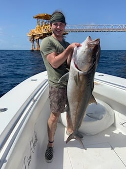 Amberjack fishing in Galveston, Texas