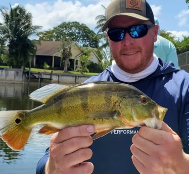 Peacock Bass fishing in Delray Beach, Florida