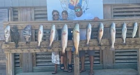 Black Drum, Redfish, Sheepshead, Speckled Trout / Spotted Seatrout Fishing in Corpus Christi, Texas