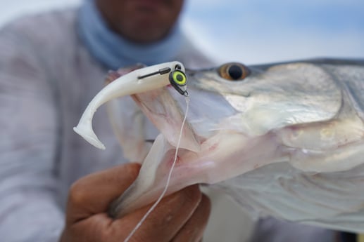 Fishing in Islamorada, Florida