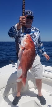 Flounder, Vermillion Snapper fishing in Destin, Florida