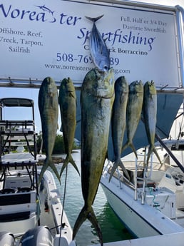 Mahi Mahi / Dorado fishing in Marathon, Florida