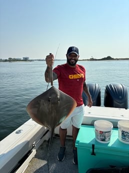 Stingray Fishing in Orange Beach, Alabama