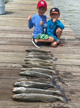 Speckled Trout / Spotted Seatrout fishing in Galveston, Texas