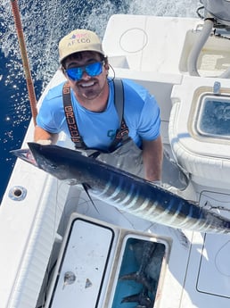 Wahoo fishing in Islamorada, Florida