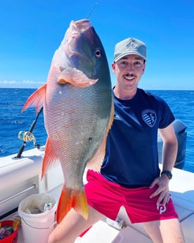 Mutton Snapper fishing in Tavernier, Florida