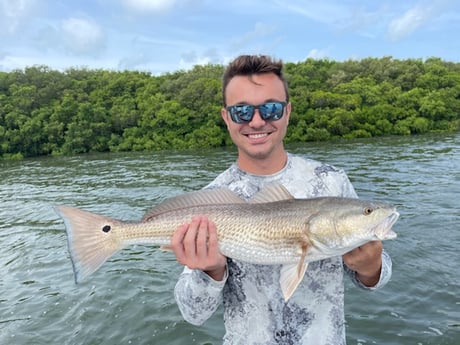 Redfish fishing in Clearwater, Florida