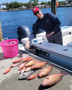 Red Snapper fishing in Panama City, Florida