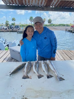 Speckled Trout / Spotted Seatrout fishing in Galveston, Texas