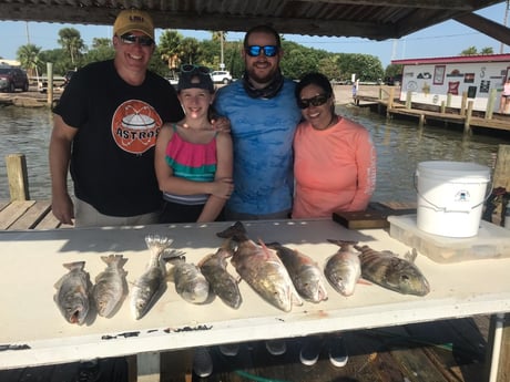 Redfish, Sheepshead, Speckled Trout / Spotted Seatrout fishing in Galveston, Texas