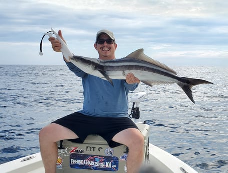 Cobia fishing in Mount Pleasant, South Carolina