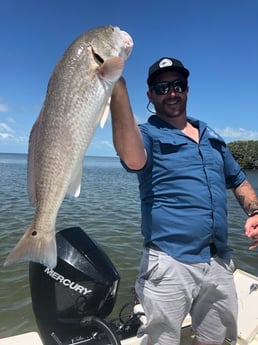 Redfish Fishing in Islamorada, Florida