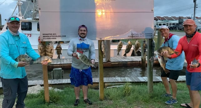 Black Drum, Sheepshead fishing in Port O&#039;Connor, Texas