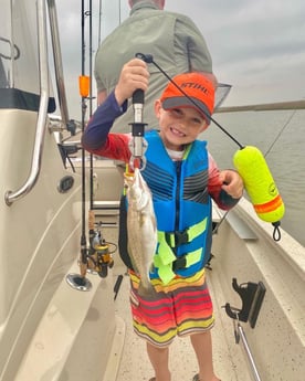 Speckled Trout / Spotted Seatrout fishing in Freeport, Texas