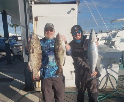 Cobia fishing in Key West, Florida