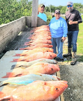 Red Snapper, Speckled Trout / Spotted Seatrout Fishing in South Padre Island, Texas