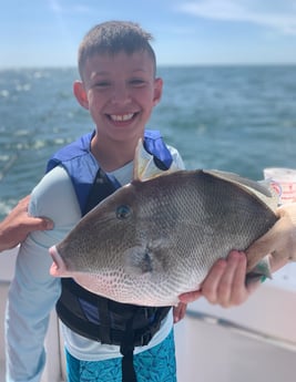 Triggerfish fishing in Orange Beach, Alabama