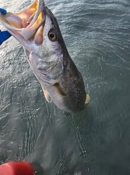 Fishing in Aransas Pass, Texas