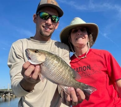 Mangrove Snapper fishing in South Padre Island, Texas