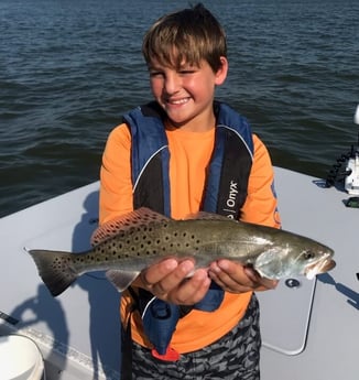 Speckled Trout / Spotted Seatrout fishing in Galveston, Texas