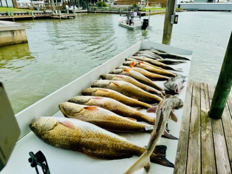 Fishing in Port O&#039;Connor, Texas