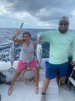 Little Tunny / False Albacore fishing in Destin, Florida