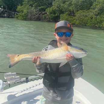 Redfish fishing in Fort Myers, Florida