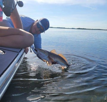 Redfish fishing in Crystal River, Florida