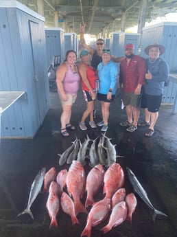 Bonnethead Shark, King Mackerel / Kingfish, Red Snapper fishing in Galveston, Texas