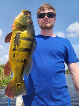 Peacock Bass Fishing in Fort Lauderdale, Florida