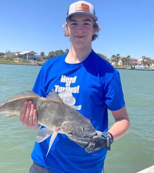 Black Drum fishing in Corpus Christi, Texas